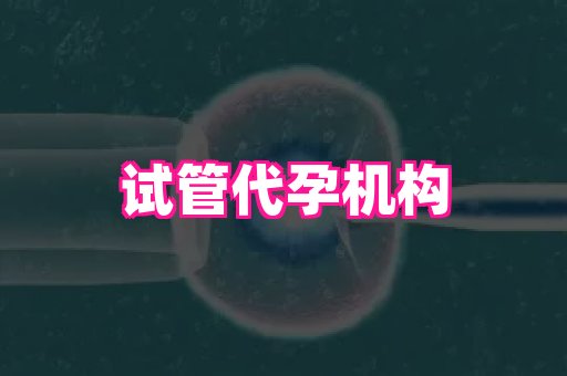 香港助孕网 3
